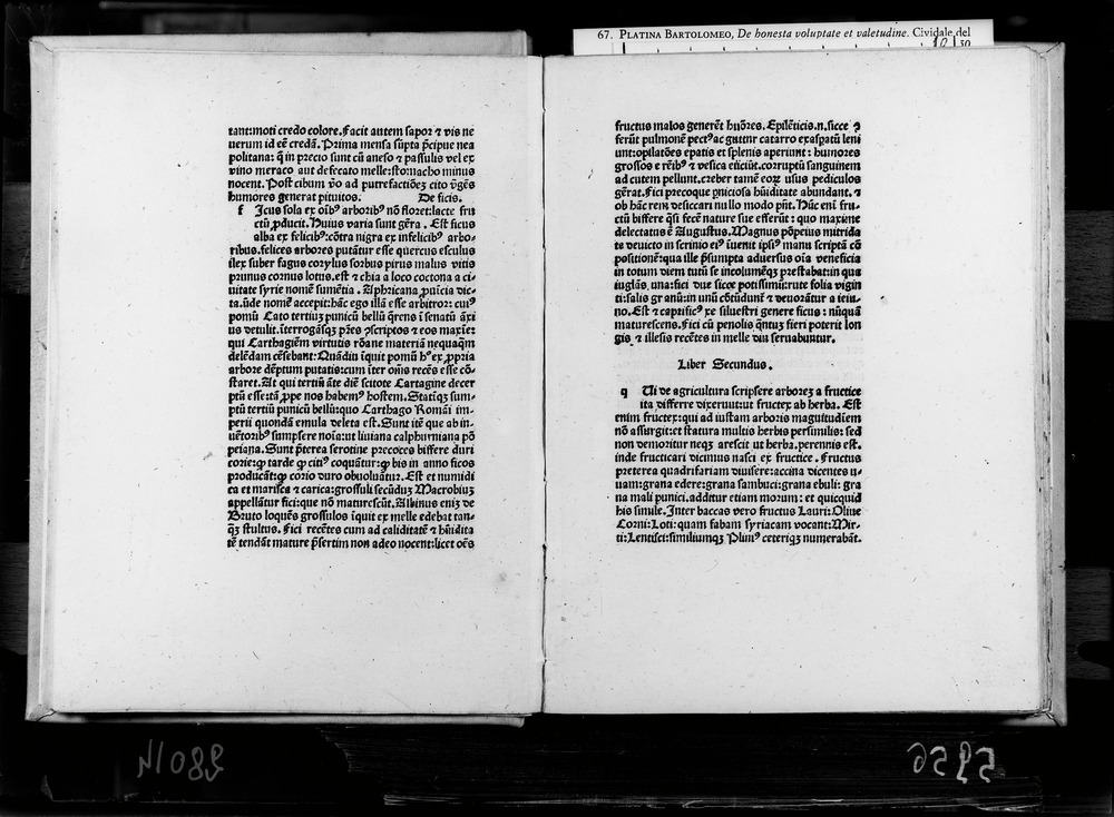 Roma, Biblioteca Nazionale Centrale, 70. 8.A.20 - IGI 7850
doc_05956
Keywords: BNCR 70. 8.A.20, IGI 7850, Incunaboli, BNCR