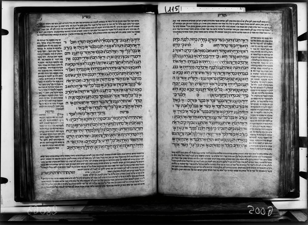 Roma, Biblioteca Casanatense, Ed. 15. sec. 1095 - IGI 7394
doc_06005
Keywords: Casanatense Ed. 15. sec. 1095, IGI 7394, Incunaboli, Casanatense