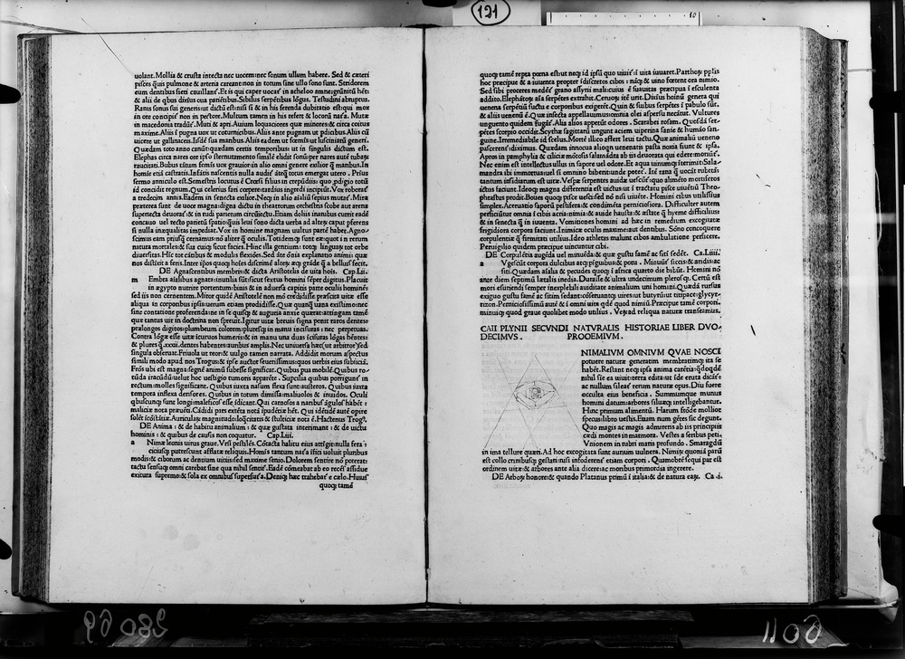 Roma, Biblioteca dell'Accademia Nazionale dei Lincei e Corsiniana, 50.G.16 - IGI 7882
doc_06011
Keywords: Lincei-Corsiniana 50.G.16, IGI 7882, Incunaboli, Lincei-Corsiniana