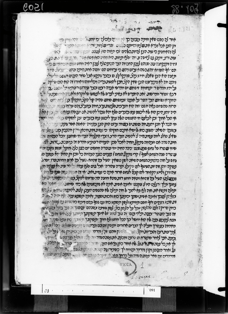 Parma, Biblioteca Palatina, De Rossi 1178 - H 9363, IGI 8569 = VI E67
doc_06051
Keywords: Parma Palatina De Rossi 1178, H 9363, IGI 8569 = VI E67, Incunaboli, Parma Palatina