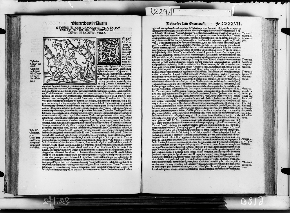 Venezia, Biblioteca Nazionale Marciana, Rari Veneti 173
doc_06120
Keywords: BNM Rari Veneti 173, BNM