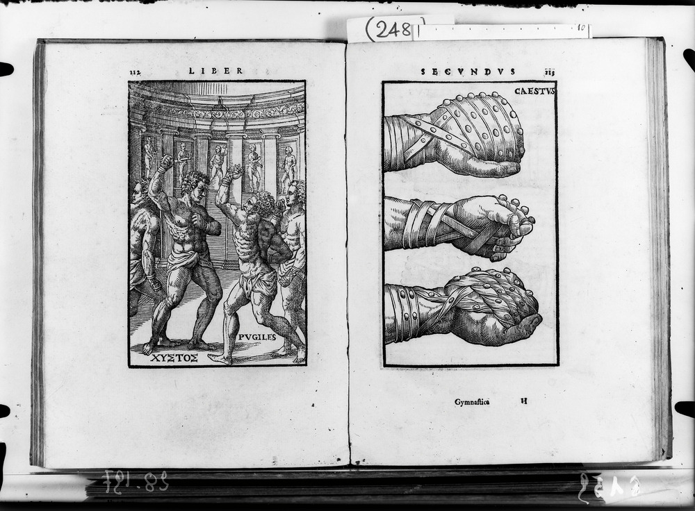 Venezia, Biblioteca Nazionale Marciana, 388.D.76
doc_06139
Keywords: BNM 388.D.76, BNM