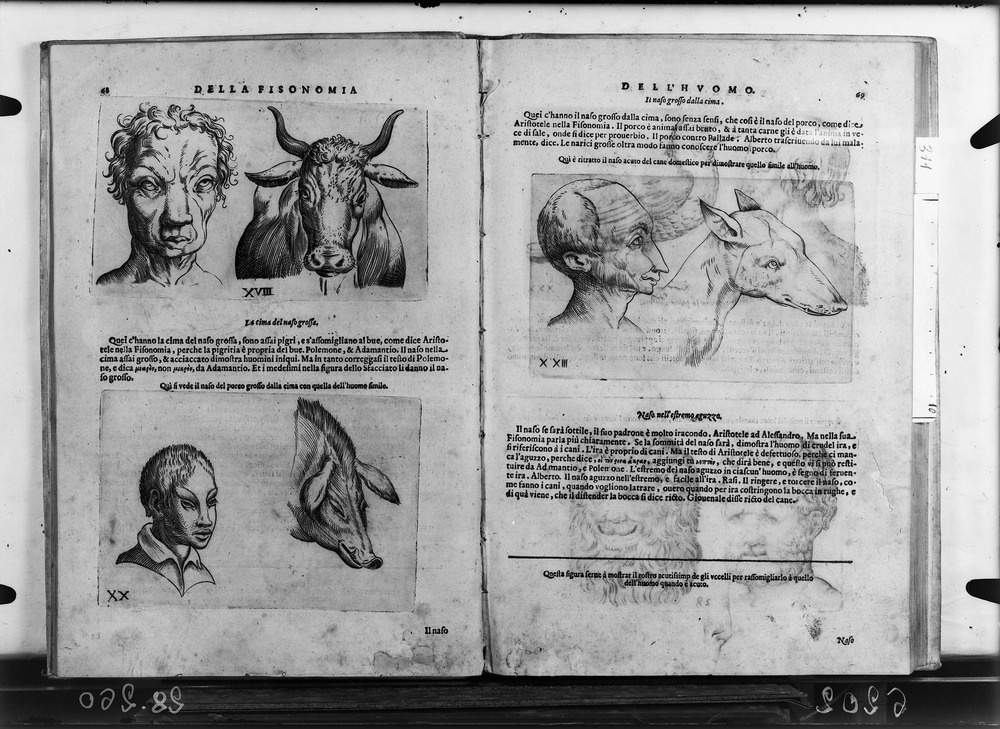 Roma, Biblioteca Nazionale Centrale, 55. 4.G.2
doc_06202
Keywords: BNCR 55. 4.G.2, BNCR