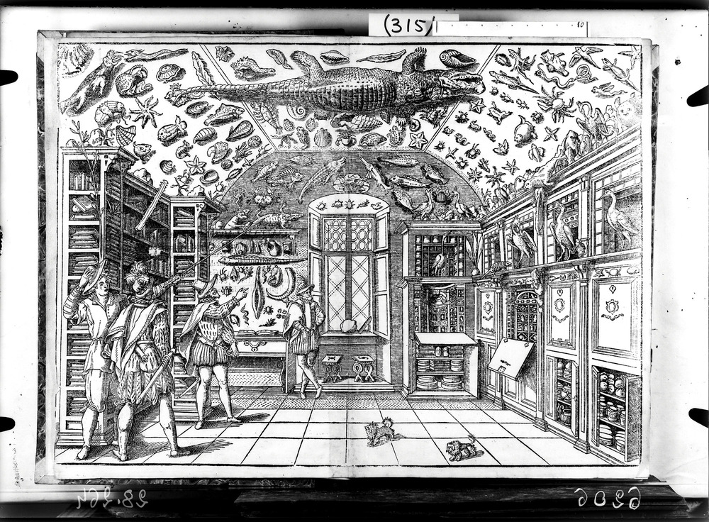 Roma, Biblioteca Angelica, 14.TT
doc_06206
Keywords: Angelica 14.TT, Angelica