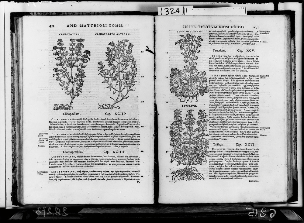 Roma, Biblioteca dell'Accademia Nazionale dei Lincei e Corsiniana, 62.M.11
doc_06215
Keywords: Lincei-Corsiniana 62.M.11, Lincei-Corsiniana