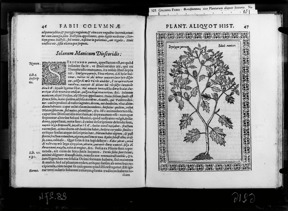 Roma, Biblioteca Nazionale Centrale, 55. 8.A.6
doc_06216
Keywords: BNCR 55. 8.A.6, BNCR
