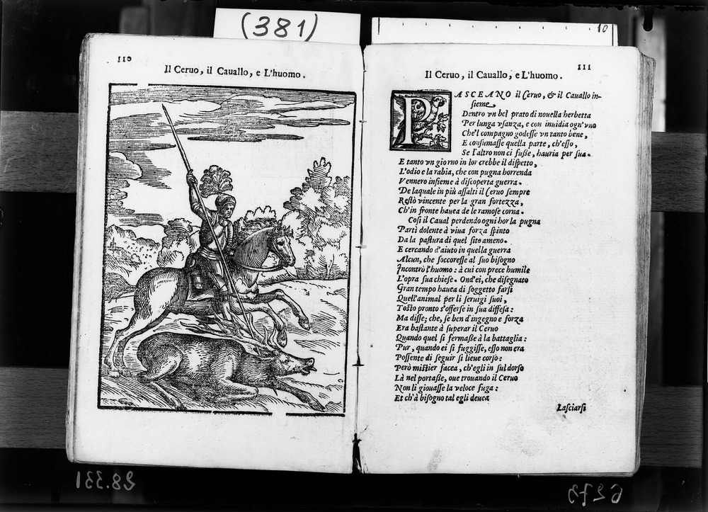 Venezia, Biblioteca Nazionale Marciana, 41. D. 18
doc_06273
Keywords: BNM 41.D.18, Decorazioni zoomorfe, BNM