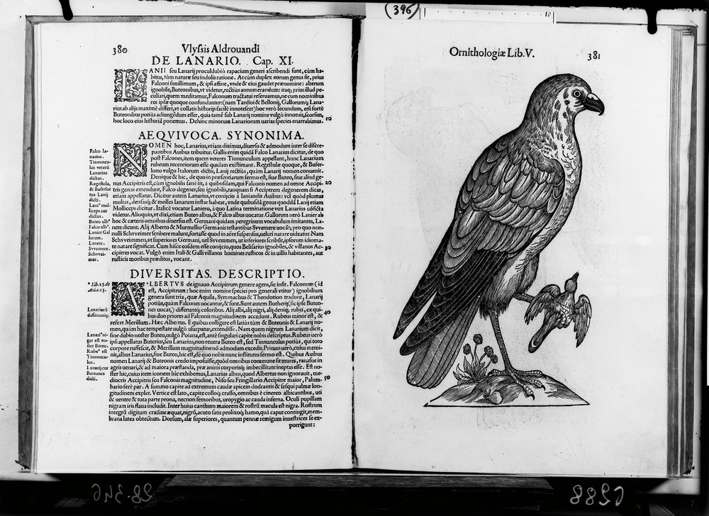 Roma, Biblioteca Nazionale Centrale, 31. 9.H.7
doc_06288
Keywords: BNCR 31. 9.H.7, BNCR