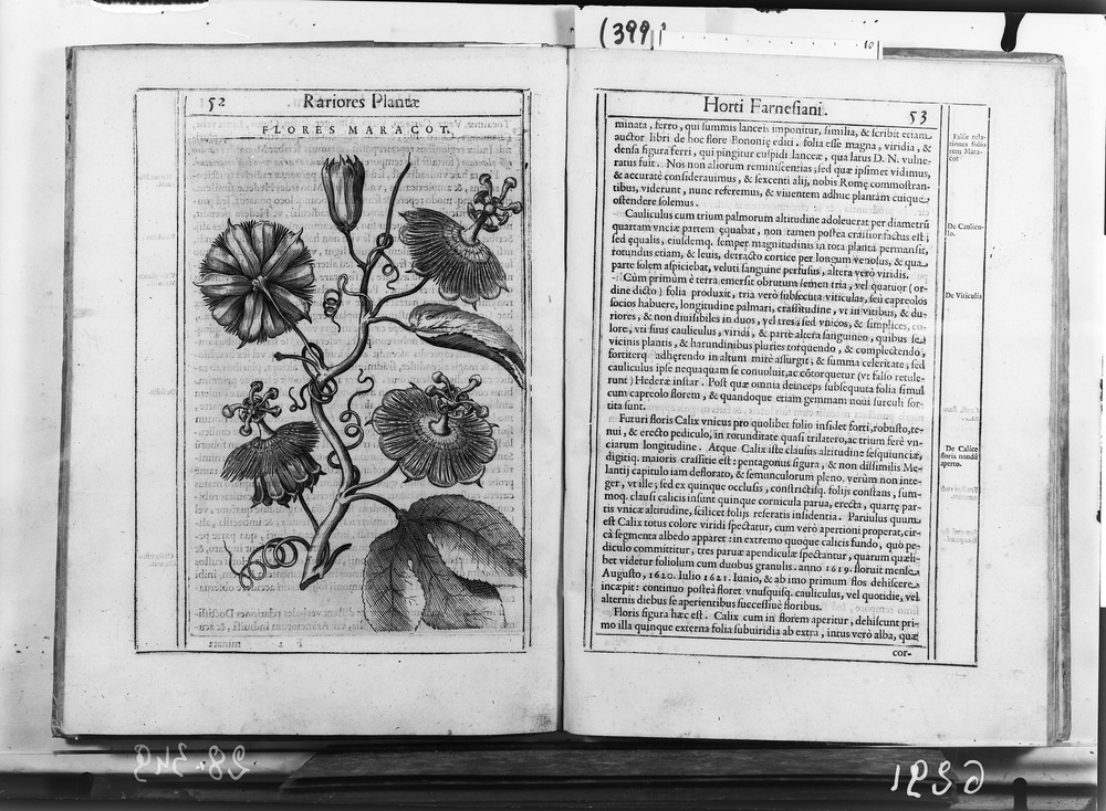 Roma, Biblioteca Nazionale Centrale, 12. 25.H.16
doc_06291
Keywords: BNCR 12. 25.H.16, BNCR