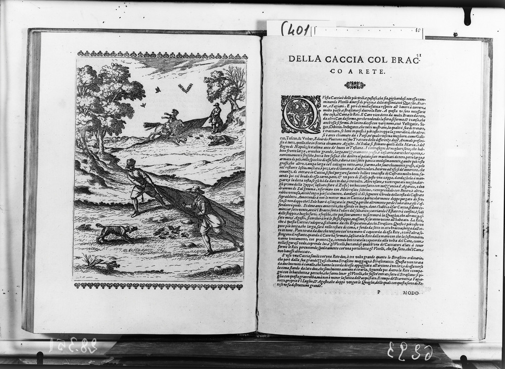 Roma, Biblioteca dell'Accademia Nazionale dei Lincei e Corsiniana, 139.F.3
doc_06293
Keywords: Lincei-Corsiniana 139.F.3, Decorazioni zoomorfe, Lincei-Corsiniana