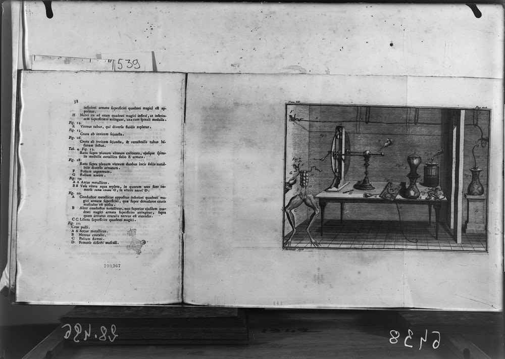 Roma, Biblioteca Nazionale Centrale, 71. 7.E.21
doc_06438
Keywords: BNCR 71. 7.E.21, BNCR