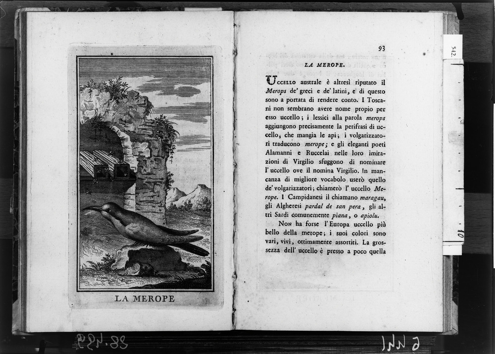 Roma, Biblioteca Nazionale Centrale, 12. 9.L.16
doc_06441
Keywords: BNCR 12. 9.L.16, BNCR
