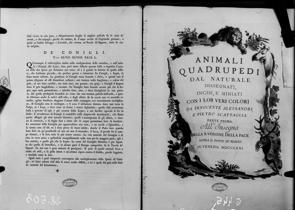 Venezia, Biblioteca Nazionale Marciana, 223. D. 16
doc_06445
Keywords: BNM 223.D.16, Decorazioni zoomorfe, BNM