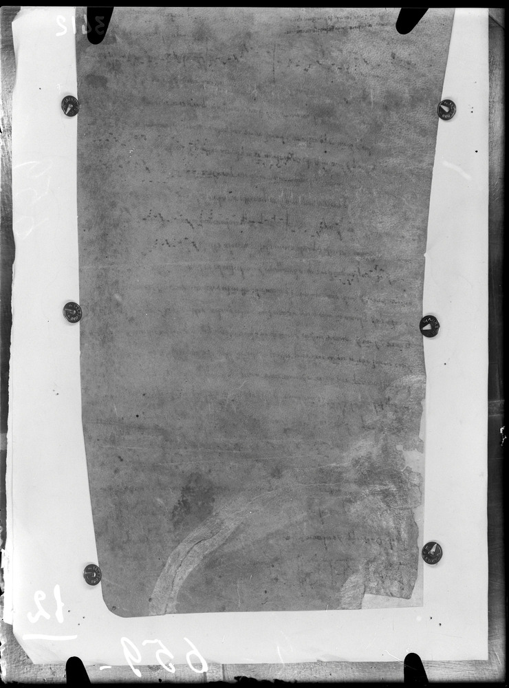 Ravenna, Archivio Storico Arcivescovile, Pergamena n. 11518 ter (Fondo S. Andrea Maggiore)
doc_00012c
Keywords: Ravenna A Arcivescovile Perg. 11518 ter, 12. sec., Ravenna A Arcivescovile