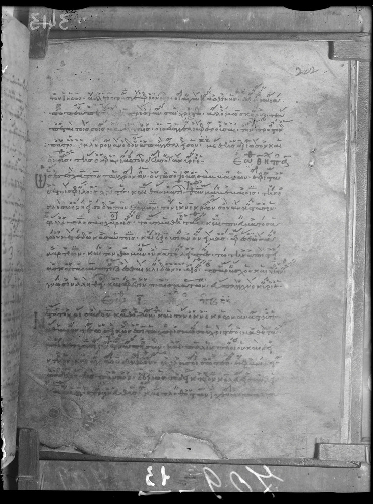Messina, Biblioteca regionale universitaria, Cod. Salvatoriano 110
doc_00013_202r
Keywords: Messina B regionale universitaria Cod. Salvatoriano 110, Rest.34/1939, Fotografie UV, Messina B regionale universitaria