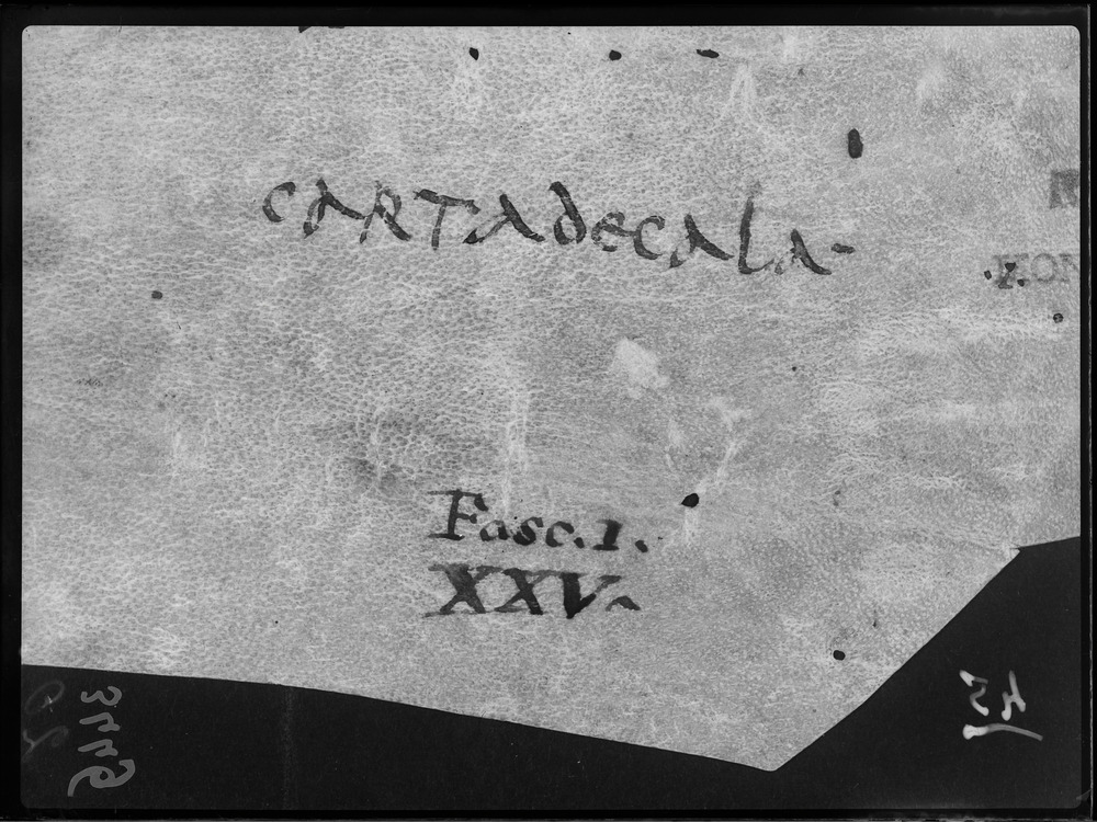 Documento d'archivio legato a Liutprando Re dei Longobardi
doc_00045b
Keywords: Liutprando [documento d'archivio]