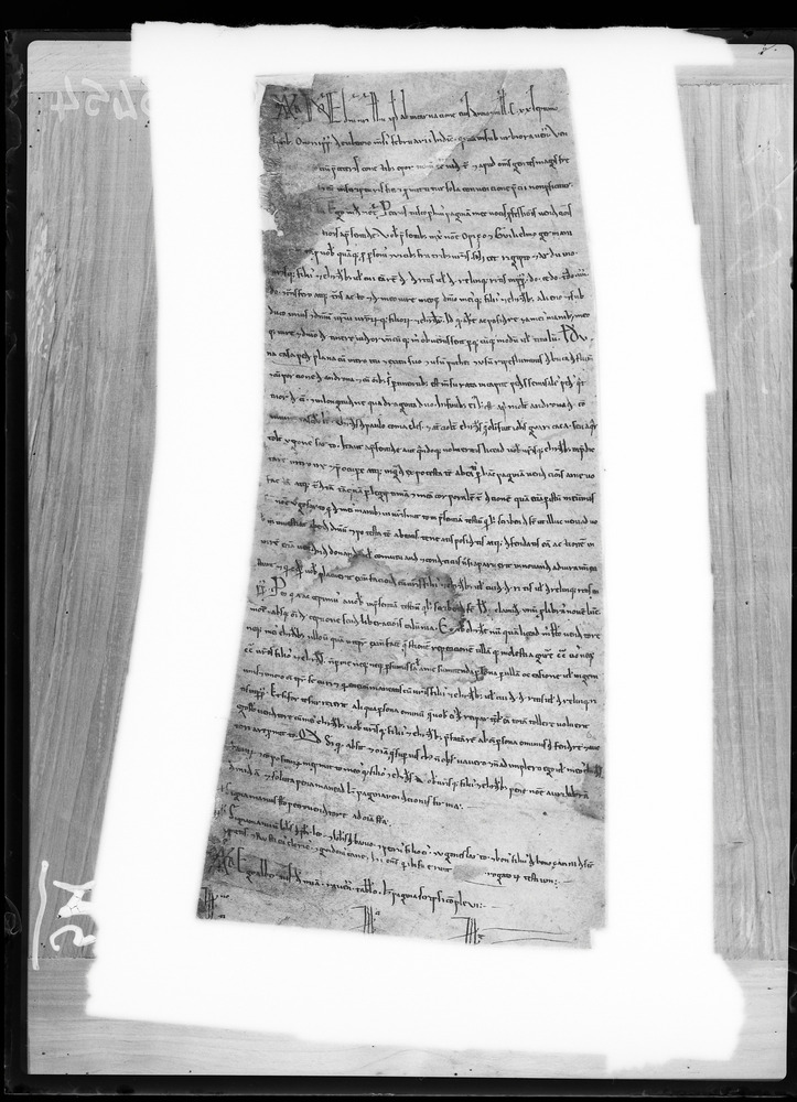 Ravenna, Archivio Storico Arcivescovile, Pergamena n. 11518 ter (Fondo S. Andrea Maggiore)
doc_00054a
Keywords: Ravenna A Arcivescovile Perg. 11518 ter, 12. sec., Ravenna A Arcivescovile