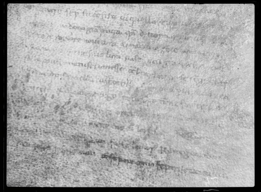 Ravenna, Archivio Storico Arcivescovile, Pergamena n. 11518 ter (Fondo S. Andrea Maggiore)
doc_00054b
Keywords: Ravenna A Arcivescovile Perg. 11518 ter, 12. sec., Ravenna A Arcivescovile