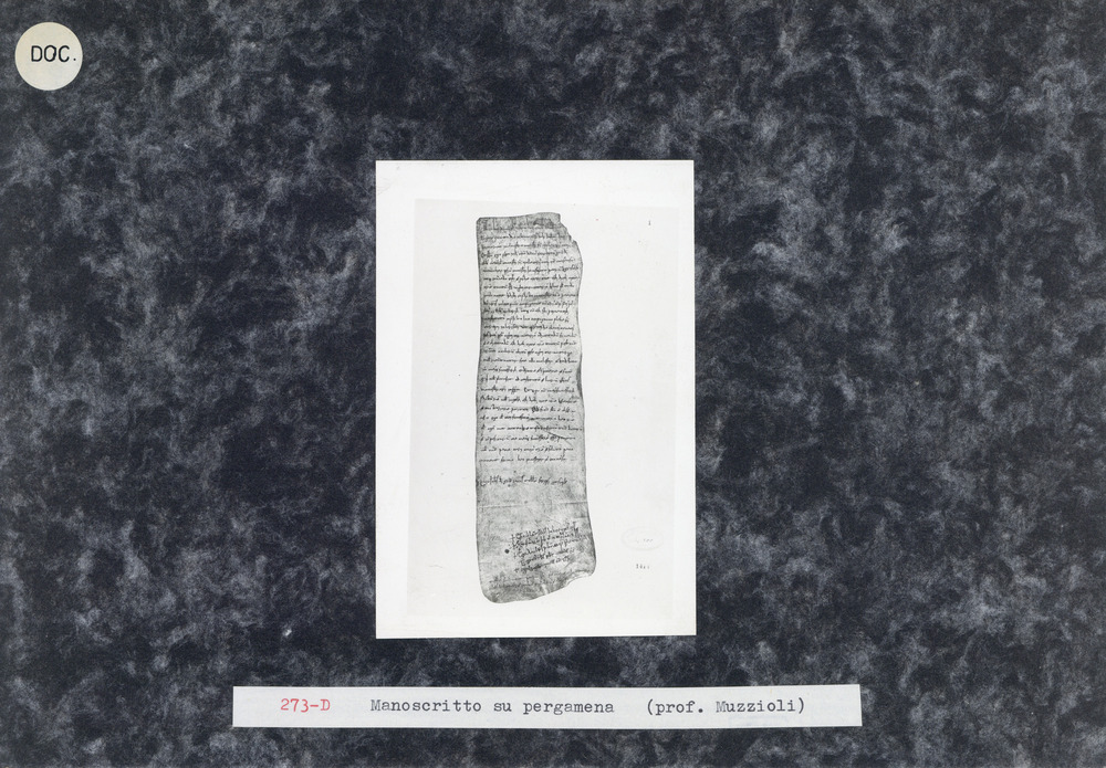 Roma, Gabinetto di Paleografia dell'Università di Roma, Inv. 800
doc_00273
Keywords: Roma Gabinetto Paleografia Inv. 800, 12. sec., Roma Gabinetto Paleografia