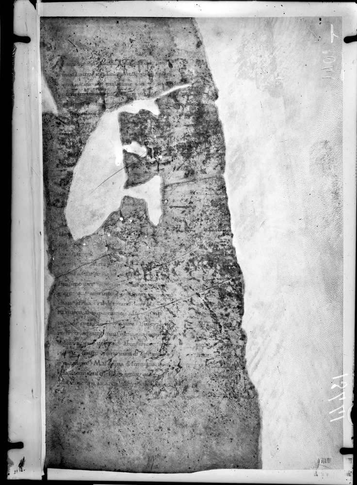 Grottaferrata, Biblioteca Statale del Monumento Nazionale, Ms. Festus Verborum
doc_01041_1
Keywords: Grottaferrata Abbazia Ms. Festus Verborum, Fotografie UV, Grottaferrata Abbazia