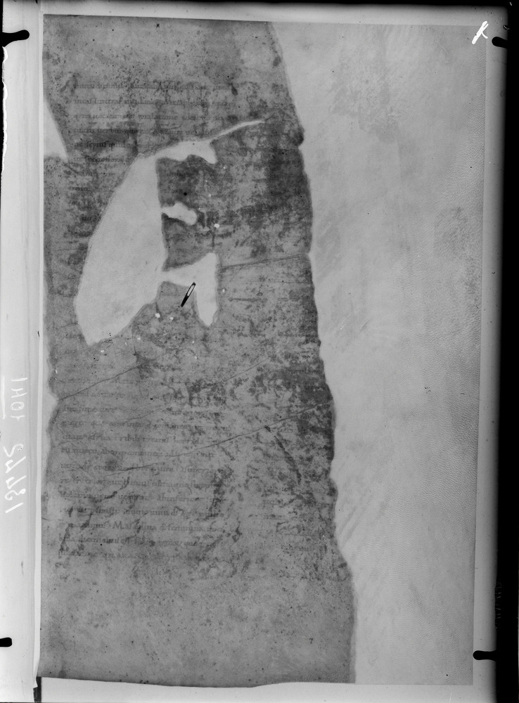 Grottaferrata, Biblioteca Statale del Monumento Nazionale, Ms. Festus Verborum
doc_01041_1a
Keywords: Grottaferrata Abbazia Ms. Festus Verborum, Grottaferrata Abbazia