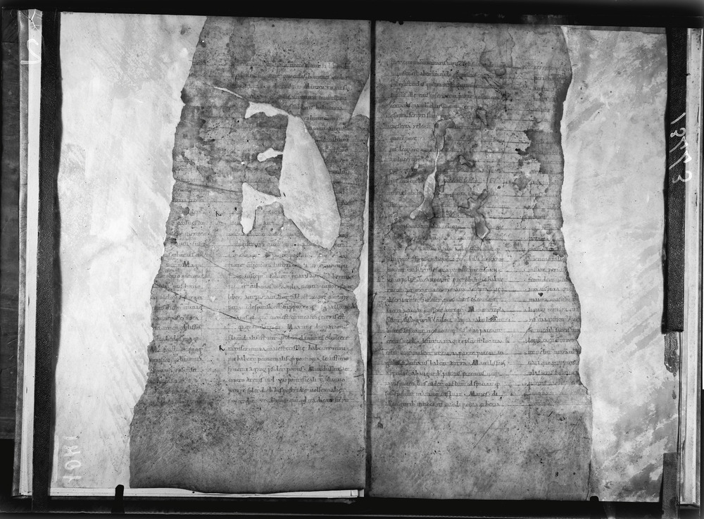 Grottaferrata, Biblioteca Statale del Monumento Nazionale, Ms. Festus Verborum
doc_01041_2
Keywords: Grottaferrata Abbazia Ms. Festus Verborum, Fotografie UV, Grottaferrata Abbazia