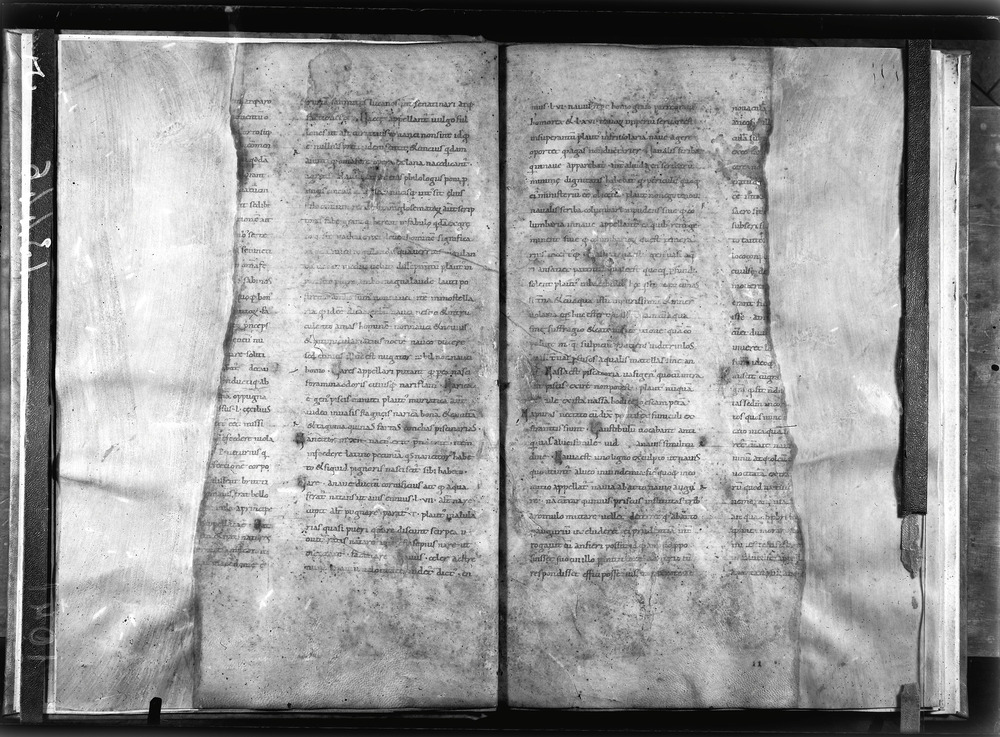 Grottaferrata, Biblioteca Statale del Monumento Nazionale, Ms. Festus Verborum
doc_01041_5
Keywords: Grottaferrata Abbazia Ms. Festus Verborum, Fotografie UV, Grottaferrata Abbazia