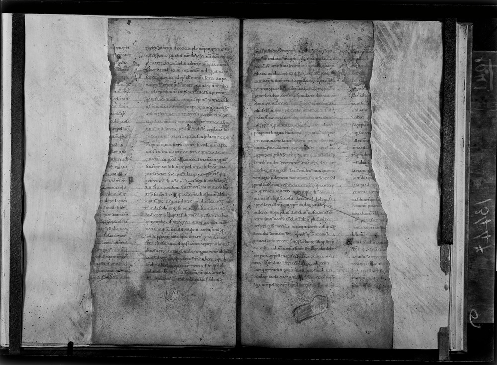 Grottaferrata, Biblioteca Statale del Monumento Nazionale, Ms. Festus Verborum
doc_01041_6
Keywords: Grottaferrata Abbazia Ms. Festus Verborum, Fotografie UV, Grottaferrata Abbazia