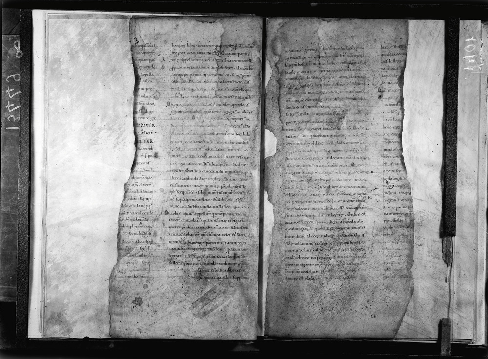 Grottaferrata, Biblioteca Statale del Monumento Nazionale, Ms. Festus Verborum
doc_01041_8
Keywords: Grottaferrata Abbazia Ms. Festus Verborum, Fotografie UV, Grottaferrata Abbazia