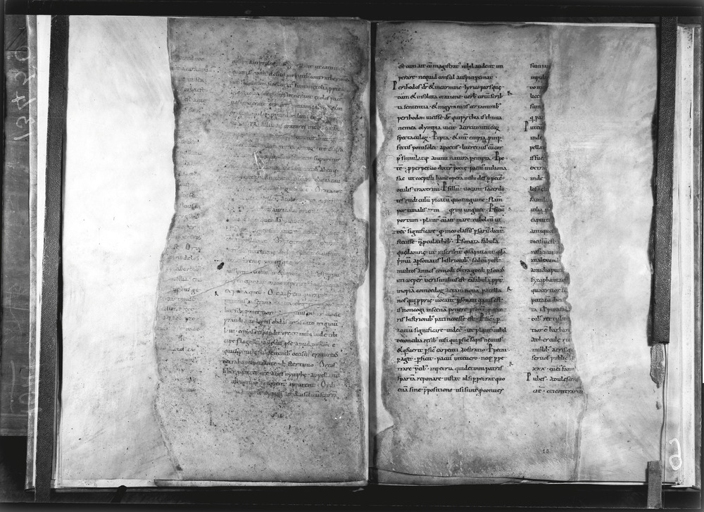 Grottaferrata, Biblioteca Statale del Monumento Nazionale, Ms. Festus Verborum
doc_01041_9
Keywords: Grottaferrata Abbazia Ms. Festus Verborum, Fotografie UV, Grottaferrata Abbazia