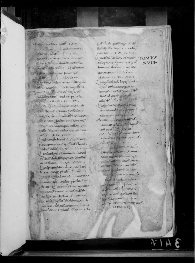 Roma, Biblioteca Vallicelliana, Ms. T.XVIII
doc_03417
Keywords: Vallicelliana Ms. T.XVIII, Vallicelliana