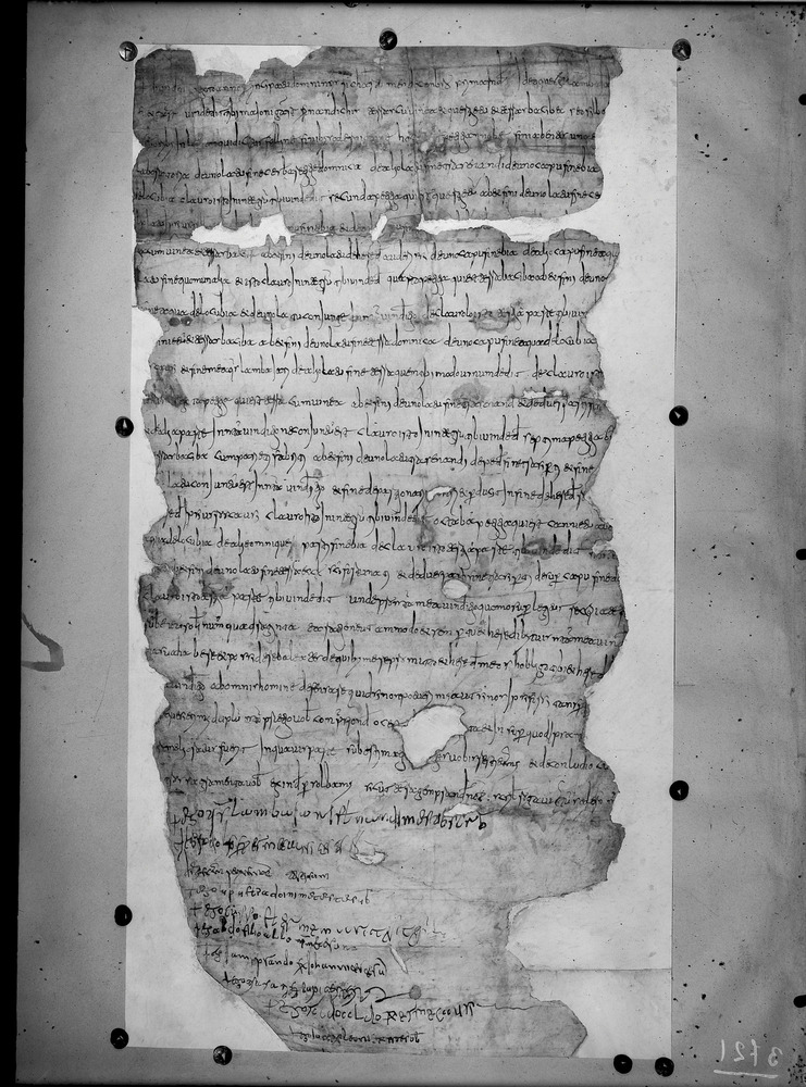 Cava de' Tirreni, Biblioteca Statale del Monumento Nazionale Badia di Cava, Arca 84 n. 18
doc_03721
Keywords: Cava de' Tirreni B Badia Arca 84 n. 18, Cava de' Tirreni B Badia