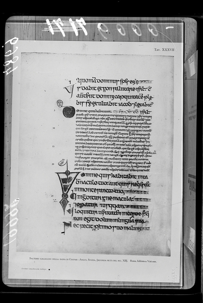 Tavola per esercitazioni di paleografia - Città del Vaticano, BAV, Salterio Galligano (Badia di Coupar - Scozia)
doc_04869
Keywords: BAV Salterio Galligano, BAV