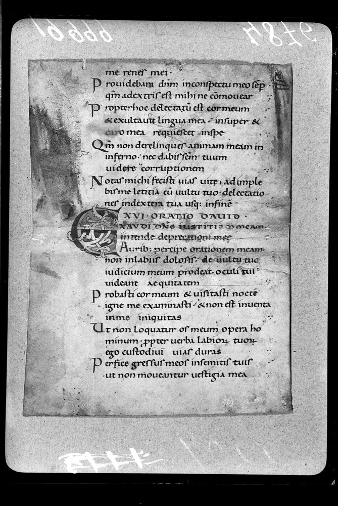 Roma, ICPAL, Collezione Amori
doc_04876
Keywords: Amori,Gruppo 7003,Collezioni ICPL,ICPL