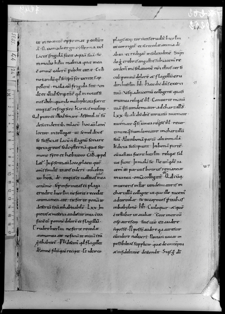 Roma, Biblioteca Nazionale Centrale, Sess. 44
doc_07249
Keywords: BNCR Sess. 44, 11. sec., BNCR