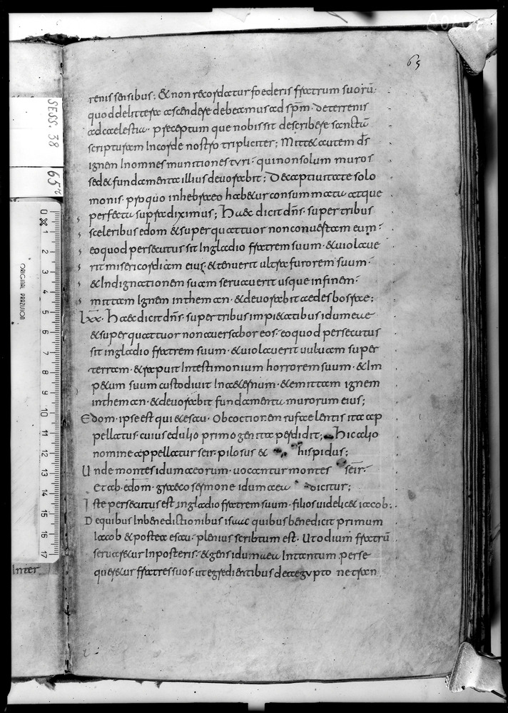 Roma, Biblioteca Nazionale Centrale, Sess. 38
doc_07306
Keywords: BNCR Sess. 38, 9. sec., BNCR