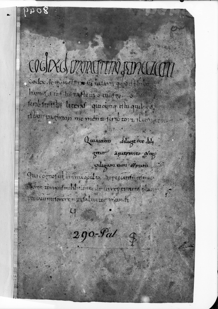 Città del Vaticano, Biblioteca Apostolica Vaticana, Pal. lat. 290
doc_08049
Keywords: BAV Pal. lat. 290, 9. sec., BAV