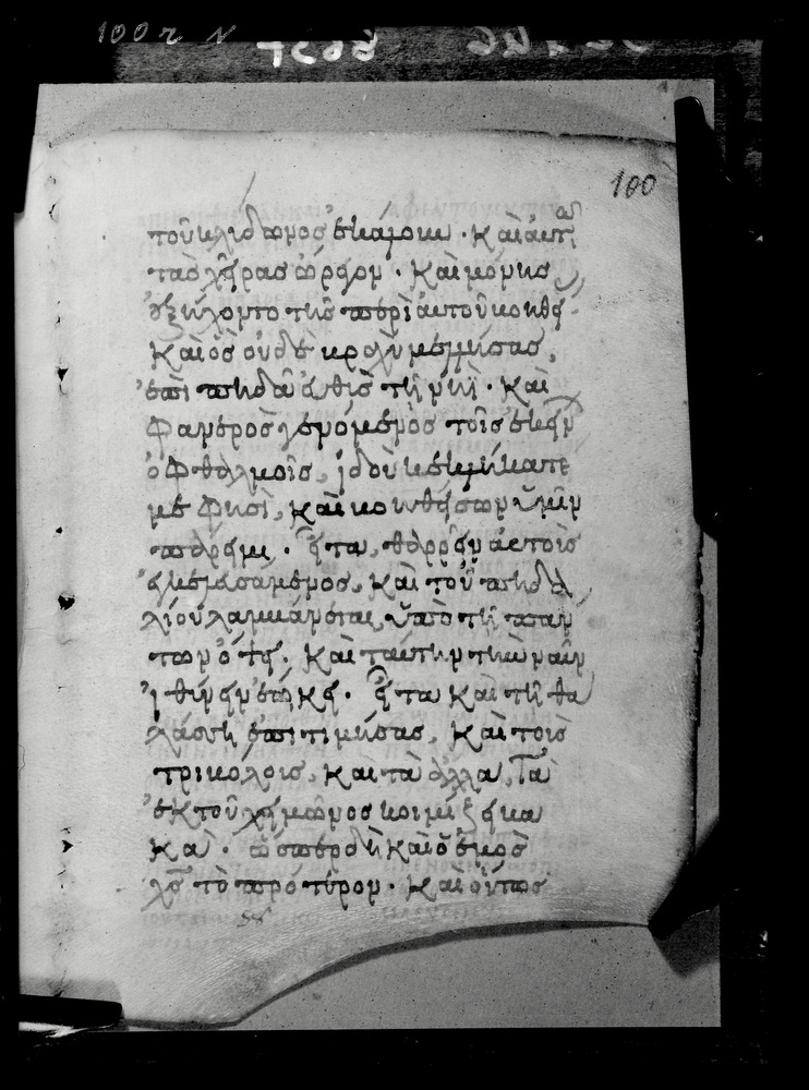 Grottaferrata, Biblioteca Statale del Monumento Nazionale, Ms. ß [beta].X (Crypt. Gr.3)
doc_08637
Keywords: Grottaferrata Abbazia Ms. B.ß [Beta].X (Crypt. Gr.3), Palinsesti, 9. sec., 10. sec., Grottaferrata Abbazia