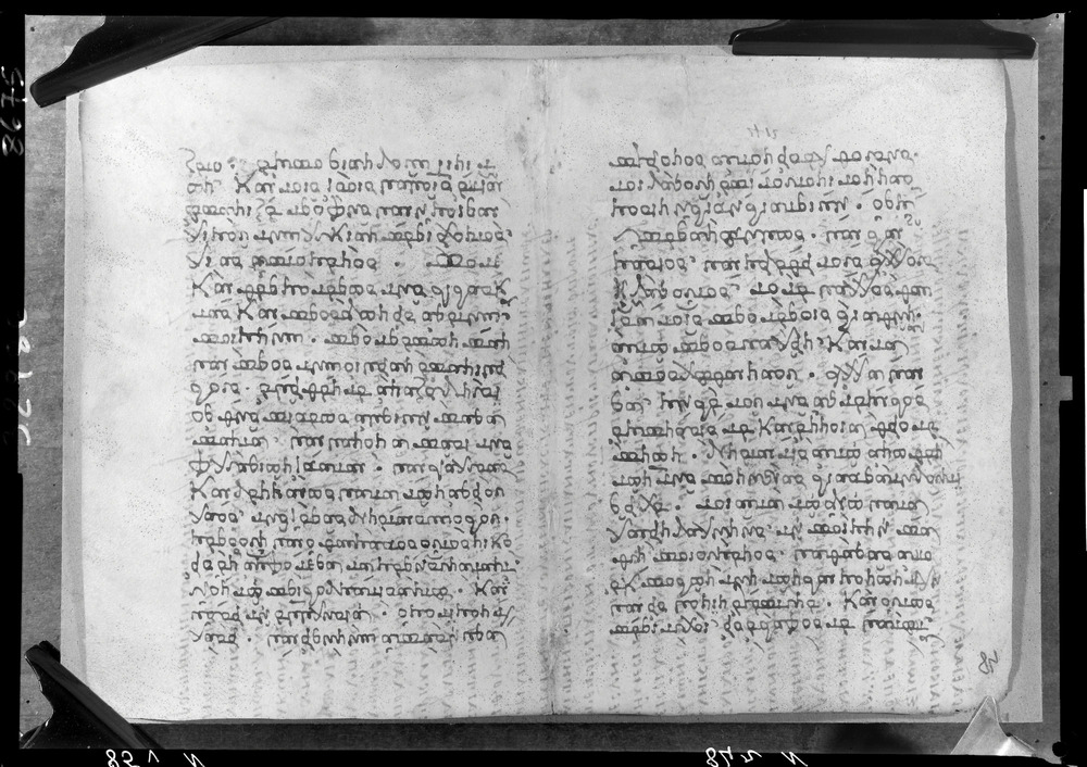 Grottaferrata, Biblioteca Statale del Monumento Nazionale, Ms. ß [beta].X (Crypt. Gr.3)
doc_08675
Keywords: Grottaferrata Abbazia Ms. B.ß [Beta].X (Crypt. Gr.3), Palinsesti, 9. sec., 10. sec., Grottaferrata Abbazia