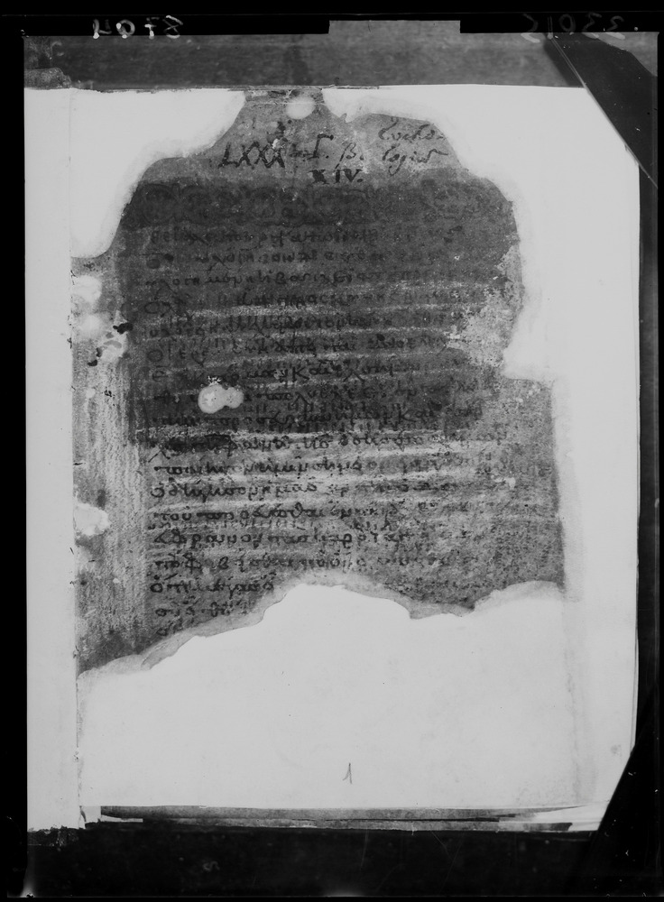 Grottaferrata, Biblioteca Statale del Monumento Nazionale, Ms. Γ [Gamma].ß [Beta].XIV (Crypt. Gr.154)
doc_08704_1
Keywords: Grottaferrata Abbazia Ms. Γ [Gamma].ß [Beta].XIV (Crypt. Gr.154), Palinsesti, Fotografie UV, 8. sec., 9. sec., 10. sec., Grottaferrata Abbazia