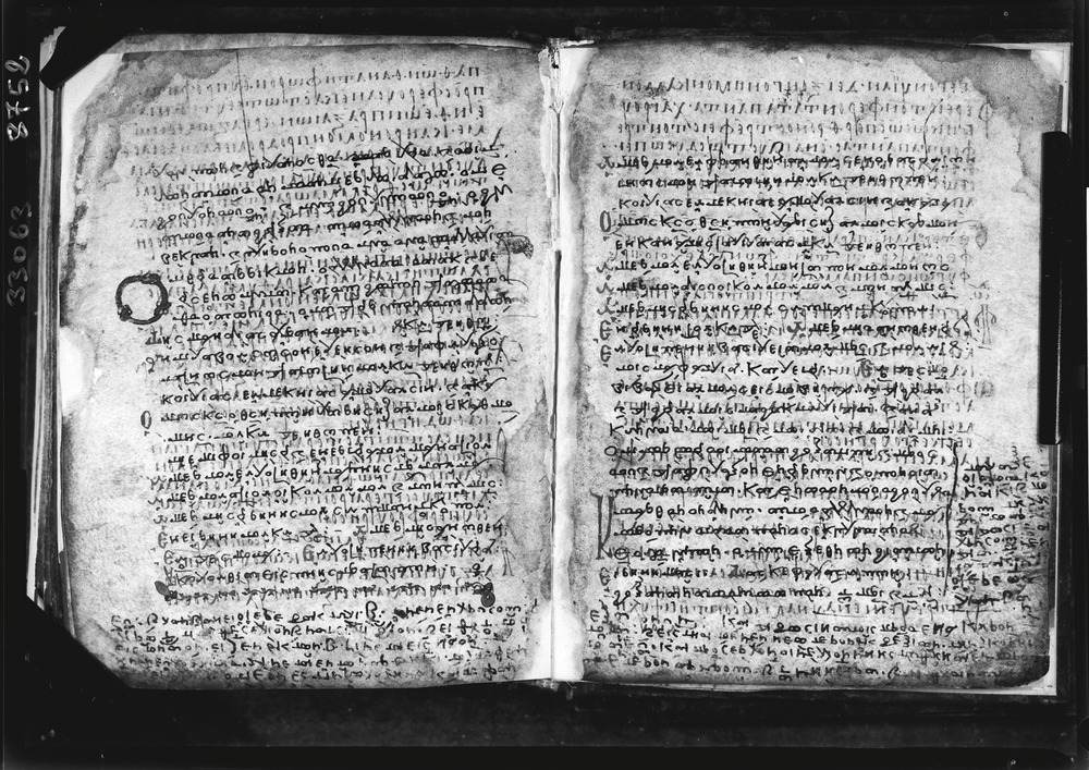 Grottaferrata, Biblioteca Statale del Monumento Nazionale, Ms. Γ [Gamma].ß [Beta].XIV (Crypt. Gr.154)
doc_08752a
Keywords: Grottaferrata Abbazia Ms. Γ [Gamma].ß [Beta].XIV (Crypt. Gr.154), Palinsesti, Fotografie UV, 8. sec., 9. sec., 10. sec., Grottaferrata Abbazia