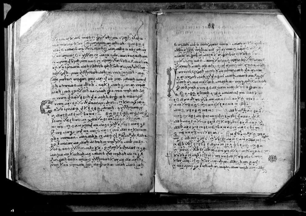 Grottaferrata, Biblioteca Statale del Monumento Nazionale, Ms. Γ [Gamma].ß [Beta].XIV (Crypt. Gr.154)
doc_08755
Keywords: Grottaferrata Abbazia Ms. Γ [Gamma].ß [Beta].XIV (Crypt. Gr.154), Palinsesti, 8. sec., 9. sec., 10. sec., Grottaferrata Abbazia