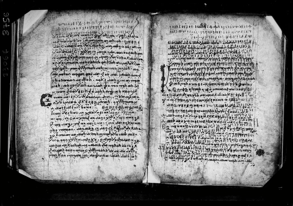 Grottaferrata, Biblioteca Statale del Monumento Nazionale, Ms. Γ [Gamma].ß [Beta].XIV (Crypt. Gr.154)
doc_08756a
Keywords: Grottaferrata Abbazia Ms. Γ [Gamma].ß [Beta].XIV (Crypt. Gr.154), Palinsesti, Fotografie UV, 8. sec., 9. sec., 10. sec., Grottaferrata Abbazia