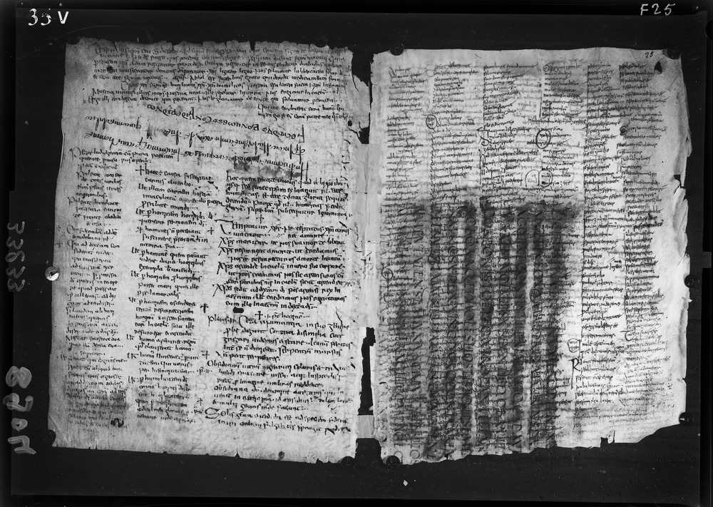 Napoli, Biblioteca Nazionale Vittorio Emanuele 3., Ms. IV.A.8
doc_08904
Keywords: BNN Ms. IV.A.8, Fasc.407/1969, Palinsesti, Fotografie UV, 6. sec., 8. sec., BNN