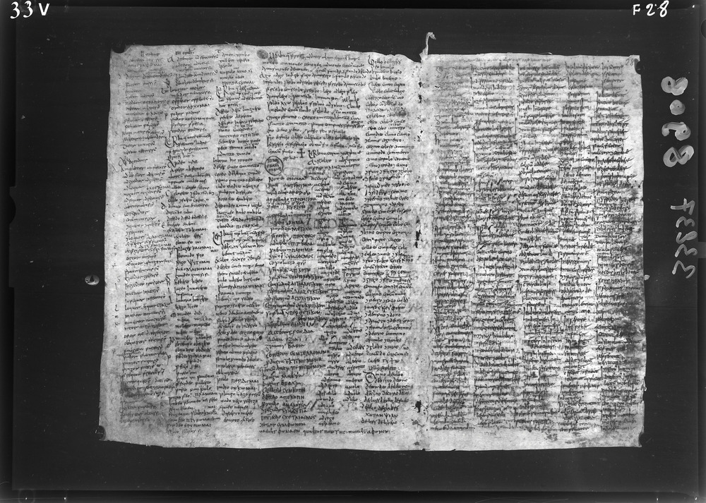 Napoli, Biblioteca Nazionale Vittorio Emanuele 3., Ms. IV.A.8
doc_08908
Keywords: BNN Ms. IV.A.8, Fasc.407/1969, Palinsesti, Fotografie UV, 6. sec., 8. sec., BNN