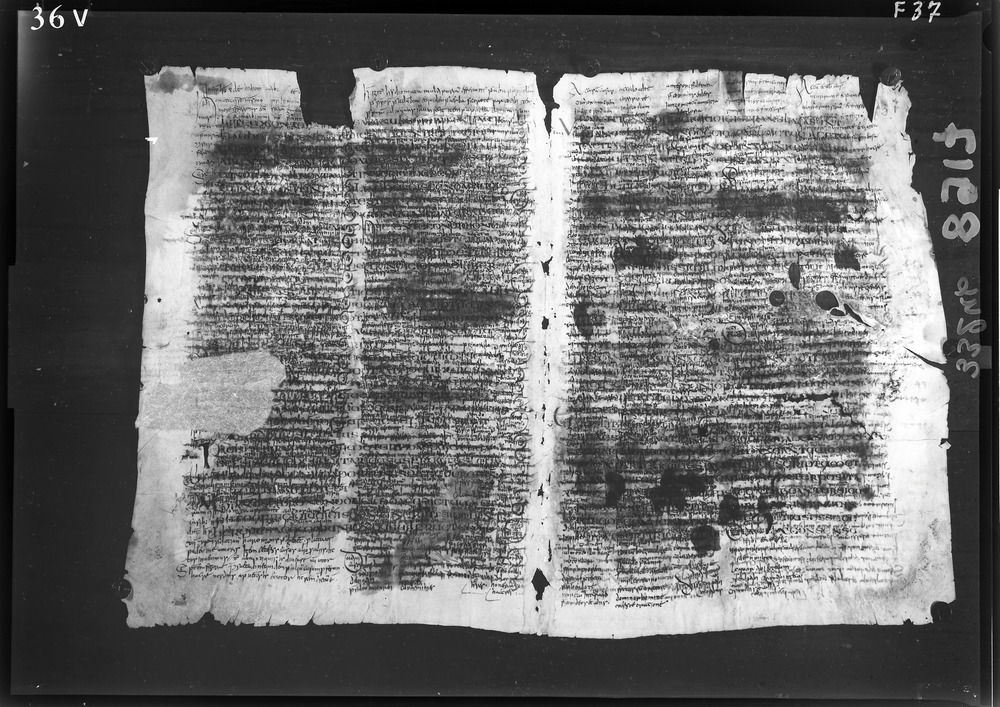 Napoli, Biblioteca Nazionale Vittorio Emanuele 3., Ms. IV.A.8
doc_08917
Keywords: BNN Ms. IV.A.8, Fasc.407/1969, Palinsesti, Fotografie UV, 6. sec., 8. sec., BNN