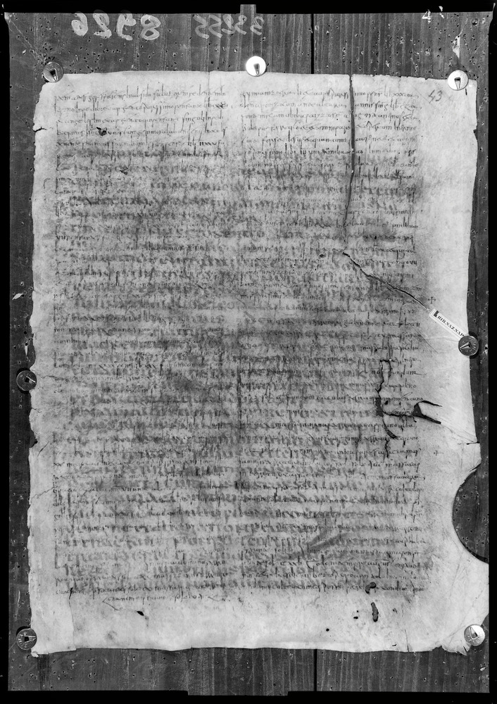 Napoli, Biblioteca Nazionale Vittorio Emanuele 3., Ms. IV.A.8
doc_08926
Keywords: BNN Ms. IV.A.8, Fasc.407/1969, Palinsesti, Fotografie UV, 6. sec., 8. sec., BNN