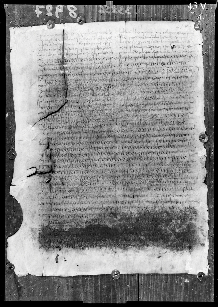 Napoli, Biblioteca Nazionale Vittorio Emanuele 3., Ms. IV.A.8
doc_08927
Keywords: BNN Ms. IV.A.8, Fasc.407/1969, Palinsesti, Fotografie UV, 6. sec., 8. sec., BNN