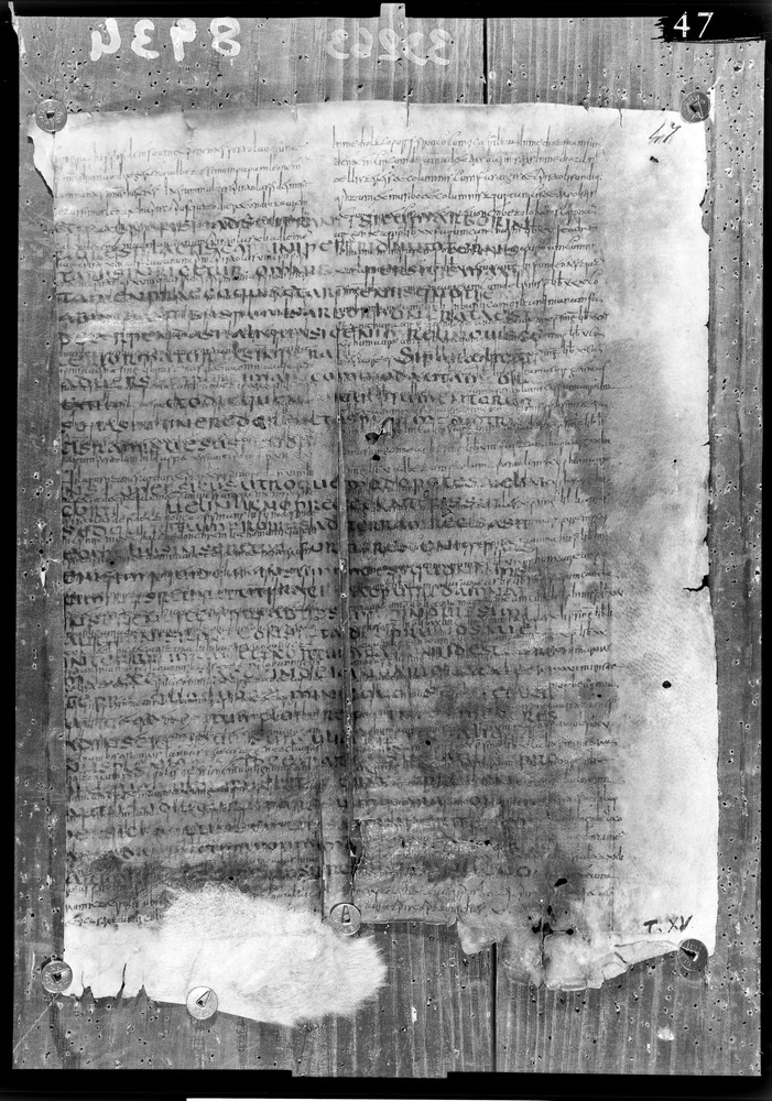 Napoli, Biblioteca Nazionale Vittorio Emanuele 3., Ms. IV.A.8
doc_08934
Keywords: BNN Ms. IV.A.8, Fasc.407/1969, Palinsesti, Fotografie UV, 6. sec., 8. sec., BNN