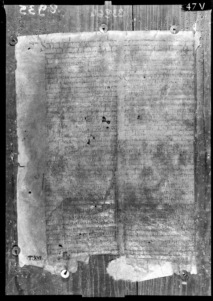 Napoli, Biblioteca Nazionale Vittorio Emanuele 3., Ms. IV.A.8
doc_08935
Keywords: BNN Ms. IV.A.8, Fasc.407/1969, Palinsesti, Fotografie UV, 6. sec., 8. sec., BNN
